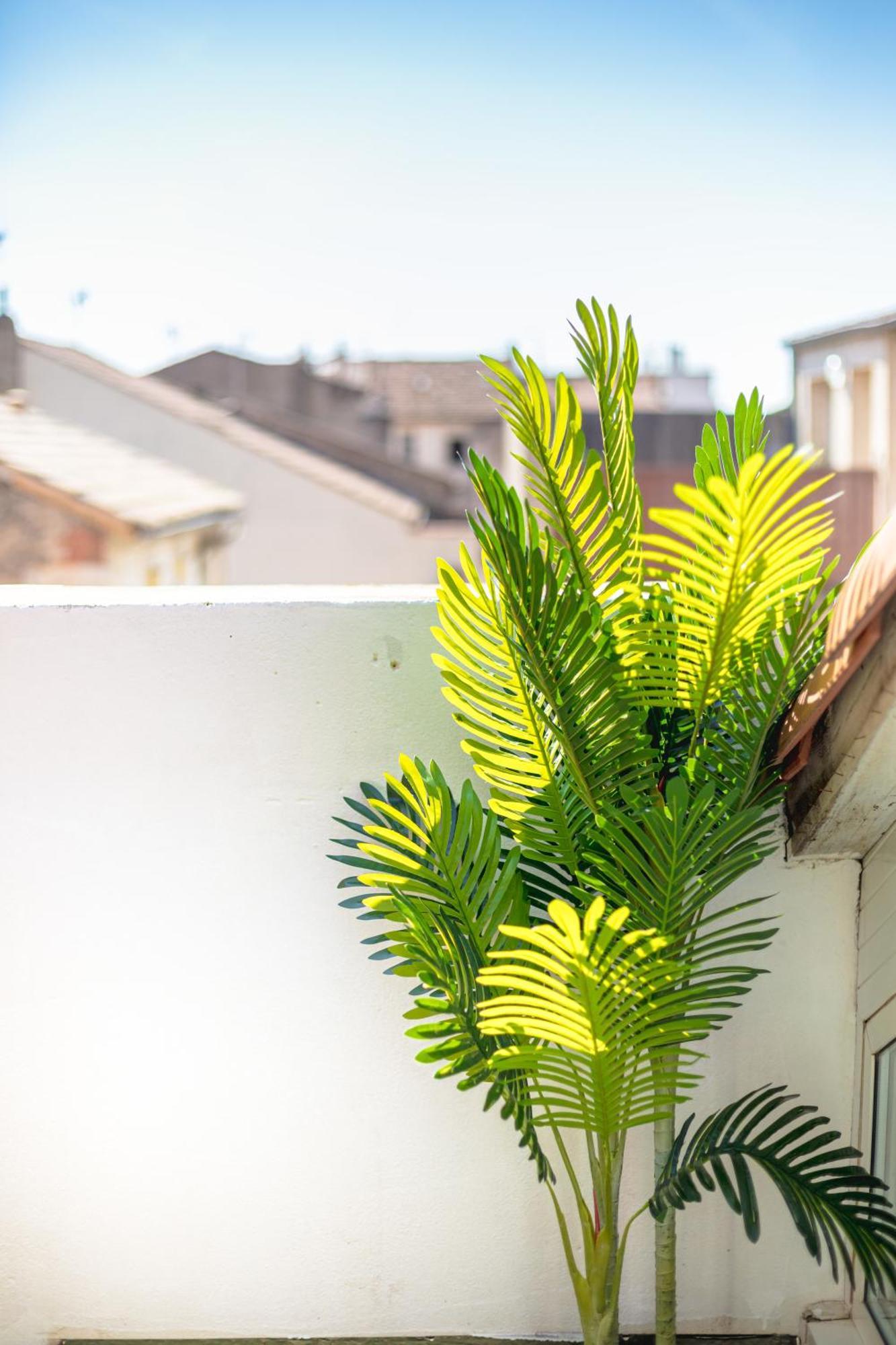 Le Albert 1Er Beziers Appartements Tout Equipes Exteriér fotografie